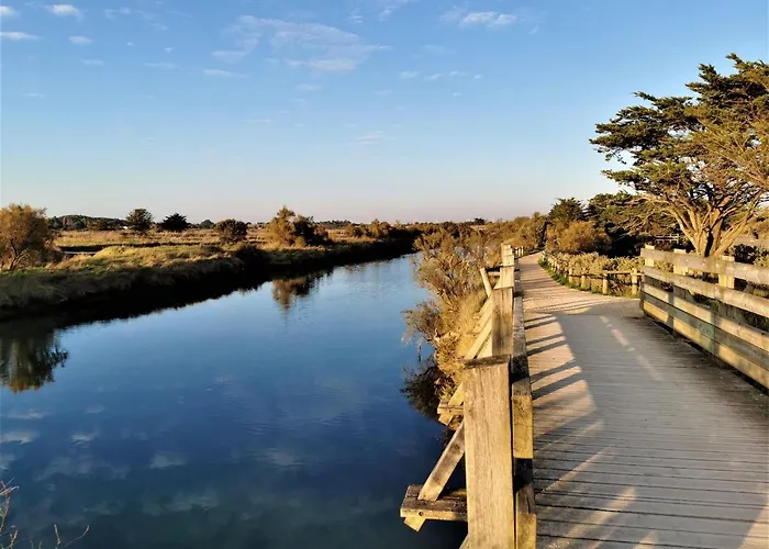 Mobil L'evasion 滨海布朗